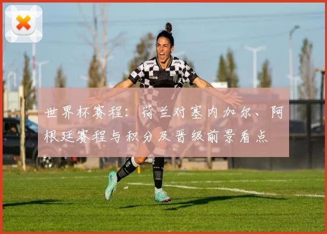 世界杯赛程：荷兰对塞内加尔、阿根廷赛程与积分及晋级前景看点
