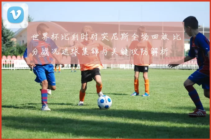 世界杯比利时对突尼斯全场回放 比分战况进球集锦与关键攻防解析