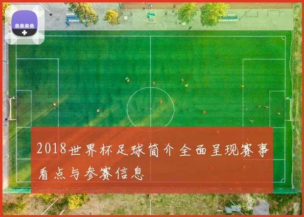 2018世界杯足球简介全面呈现赛事看点与参赛信息