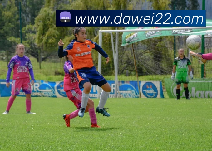 澳门大阳城官网 - 大阳城(中国)APP 封面图